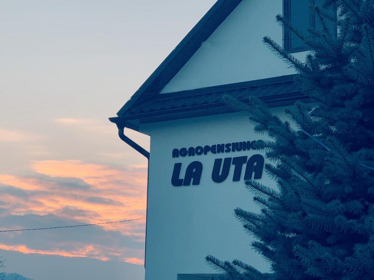 Agropensiunea La Uta Rebrisoara Ngoại thất bức ảnh
