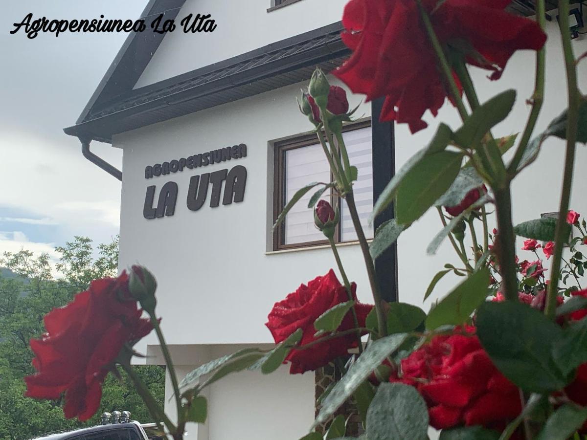 Agropensiunea La Uta Rebrisoara Ngoại thất bức ảnh