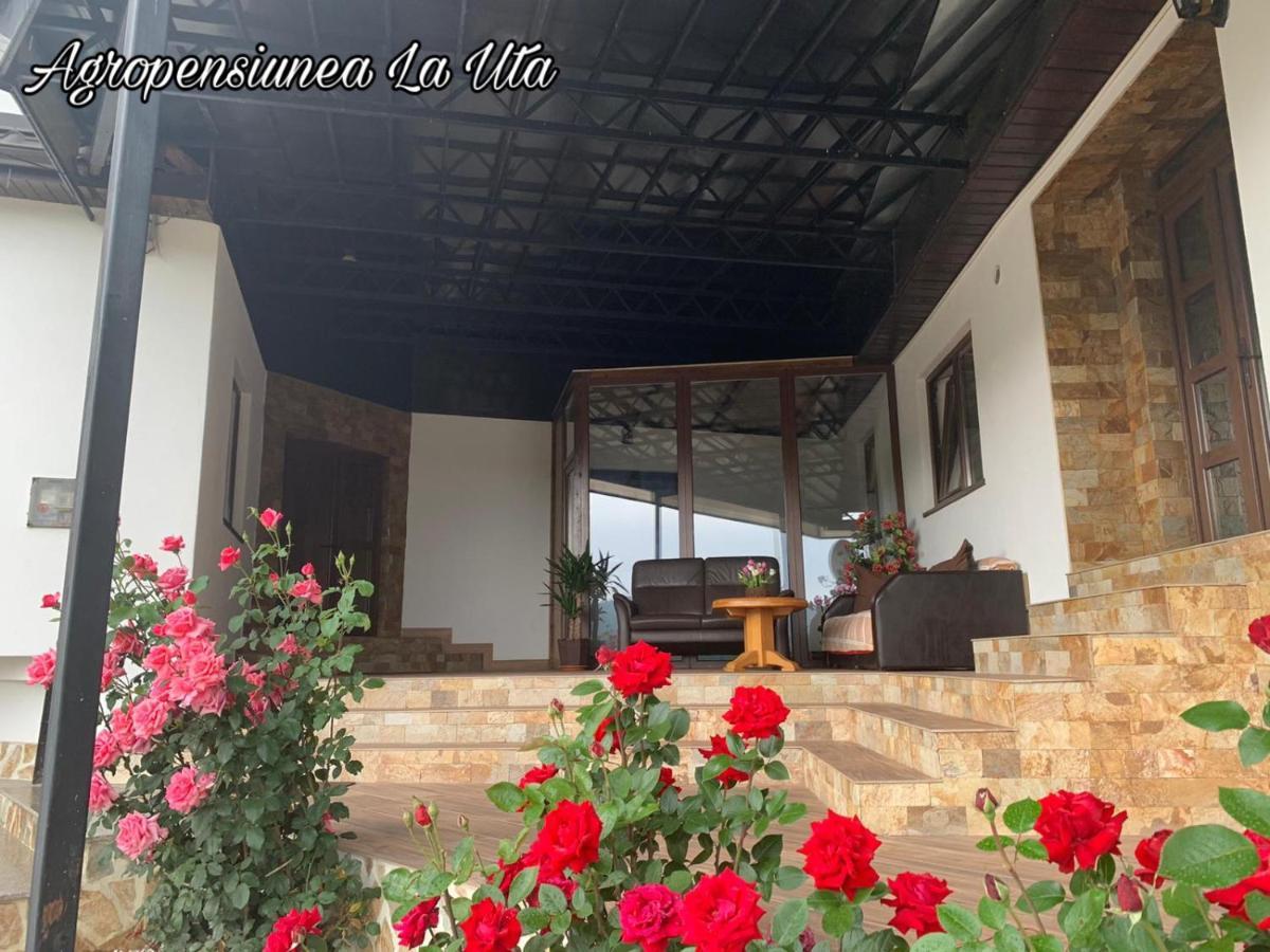 Agropensiunea La Uta Rebrisoara Ngoại thất bức ảnh